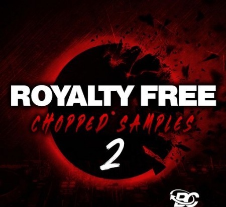 Big Citi Loops Royalty-Free Chopped Samples 2 WAV